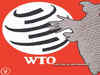 India to block EU’s WTO panel request