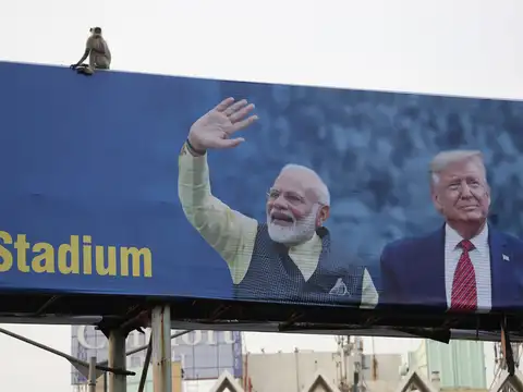 Langurs for Trump