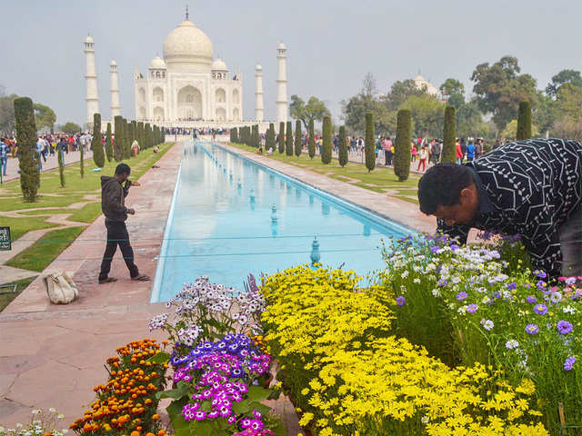 ​Taj Mahal gets mud-pack treatment