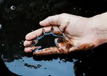 shutterstock_457630714