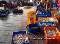 seafood-exports