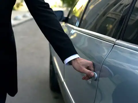 Door/cab handle