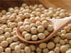 Soybeans edge higher, weaker US export demand caps gains