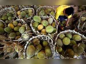 Asia's love of stinky durian could help power tuk-tuks and phones
