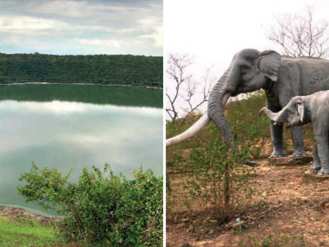 Planning a post-exam trip to bust stress? Here's why Siwalik Fossil Park & Lonar Lake should be on your itinerary