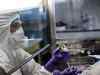 As pressure for coronavirus vaccine mounts, scientists debate risks of accelerated testing