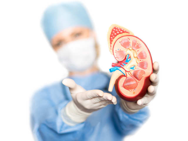 MYTH: Kidney Disease Is Very Rare
