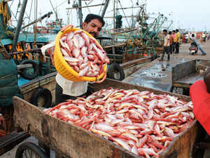 fish export bccl