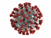 Coronavirus-1---PTI