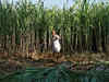 Sugarcane arrears of farmers down: Paswan