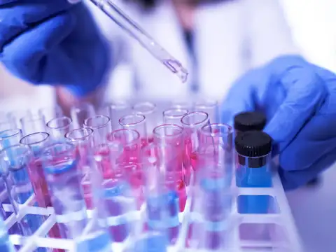 ​Why are anti-malarials suddenly in limelight?