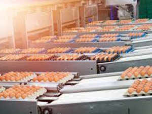 Food processing Agencies