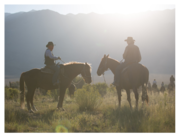 Tantalising Texas—travel inside a cowboy's dream
