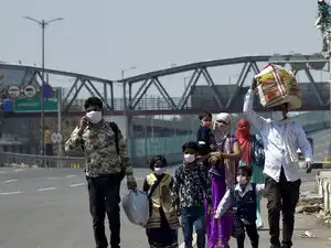Migrant---ANI