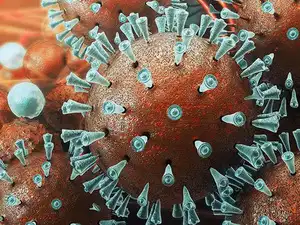 coronavirus