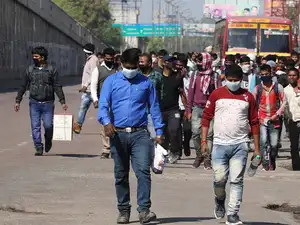 virus up bccl