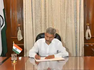 MEA