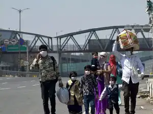 Migrant---ANI