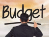 Govt sticks to BE to borrow Rs 4.88 lakh cr in H1FY21