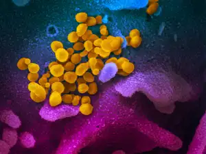 virus microscope reuters