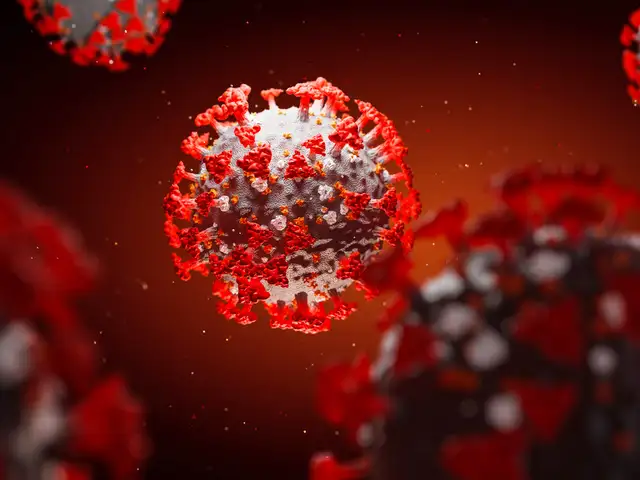 Coronavirus: Key terms explained - Coronavirus and Covid-19Coronavirus: Key  terms explained - Coronavirus and Covid-19 | The Economic Times