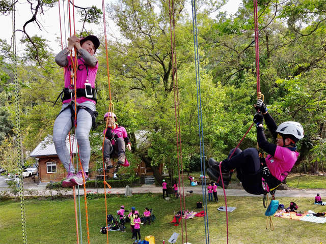 Two categories of tree climbing