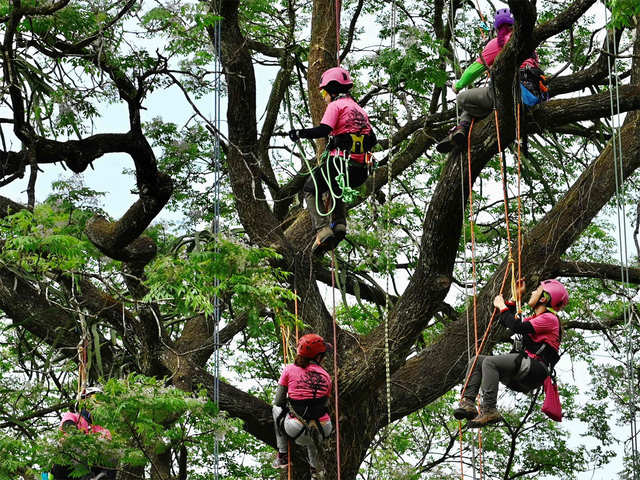 Recreational climbing - The Taiwanese tree climber embracing women