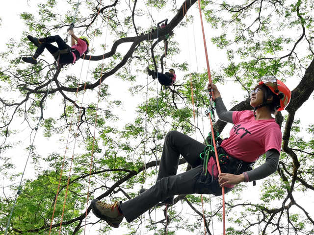 Taiwan's 1st international certified female climber arborist - The