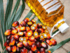 Palm oil gains on stronger crude oil, supply worries
