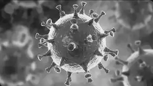 कोरोना: फॉल्स निगेटिव कोरोना मरीजों ...