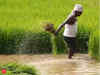 Pre-monsoon sowing of kharif crops begins; paddy acreage up 27 per cent