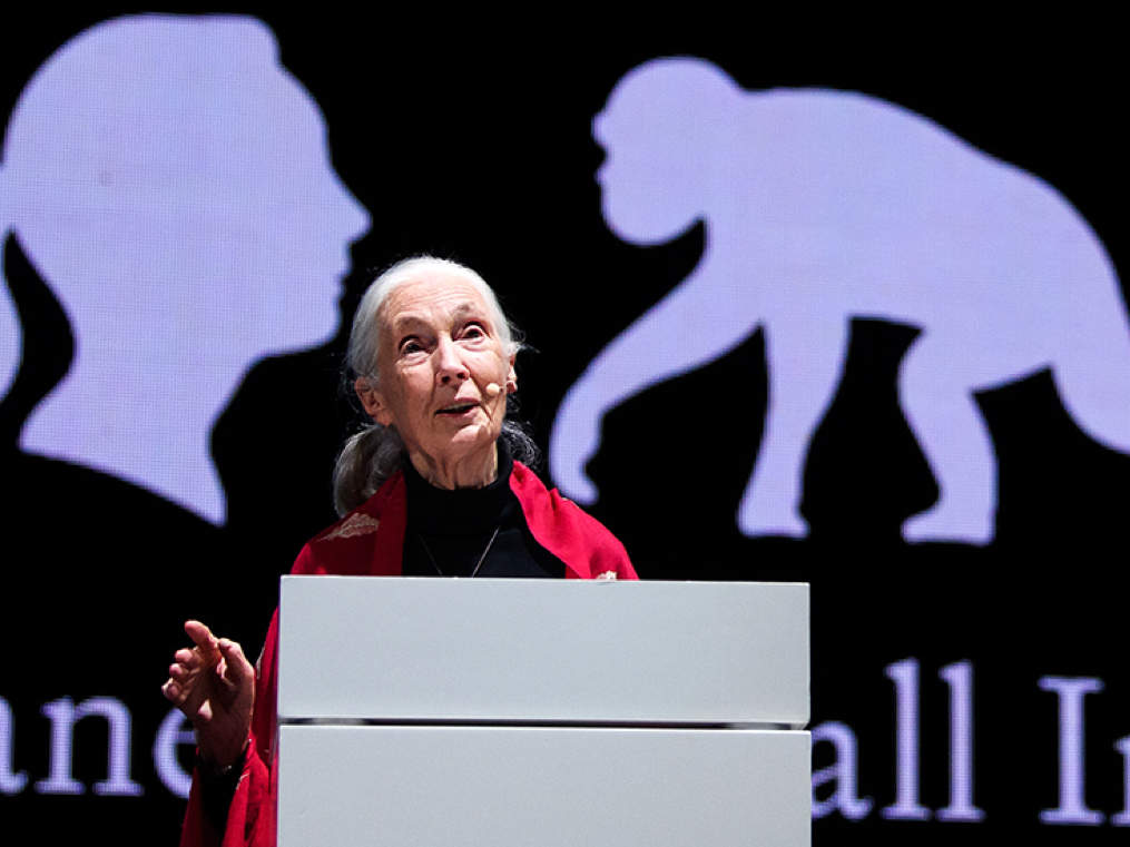 Unlimited economic development in a world of finite natural resources spells disaster: Jane Goodall