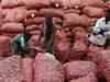 Government lifts ban on onion exports after prices crash