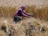 Crop procurement begins, boosts rural sentiment