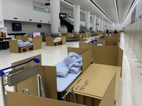 Cardboard beds!