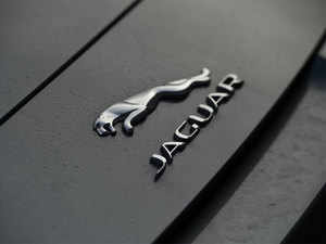 Jaguar AFP