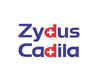 Zydus Cadila takes a shot at old Hepatitis C injection to treat Covid-19
