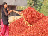 Chilli prices unlikely to flare up after lockdown