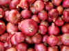 Government completes disposal of 35,857 tons of imported onions