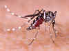 Fight against malaria could be set back 20 years, WHO warns