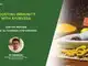 Covid lockdown: Boosting immunity with Ayurveda. Register for webinar