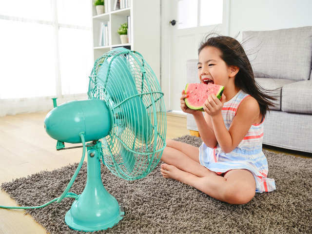 Electric fans