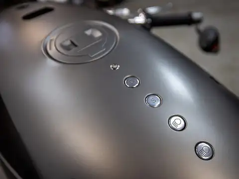​Body