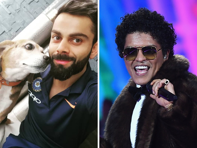 Bruno Mars Virat Kohli S Pet Dog Passes Away Trending Hashtag Leaves Bruno Mars Fans In A Frenzy The Economic Times