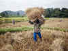 Budget 2011: Govt should give incentives to agri sector, says SMC