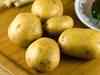 Agro commodity check: Potato, guar gum up, Chana down