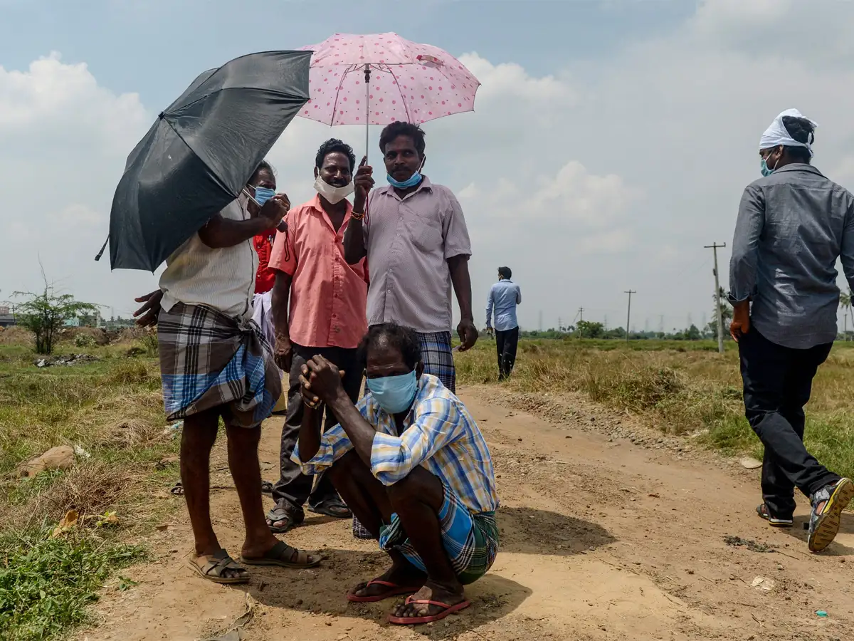 Virologists Latest News Videos Photos About Virologists The Economic Times