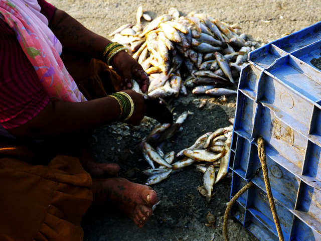 tally seafood market