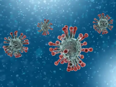 No herd immunity 