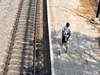 Railways to provide shelter to those residing near tracks